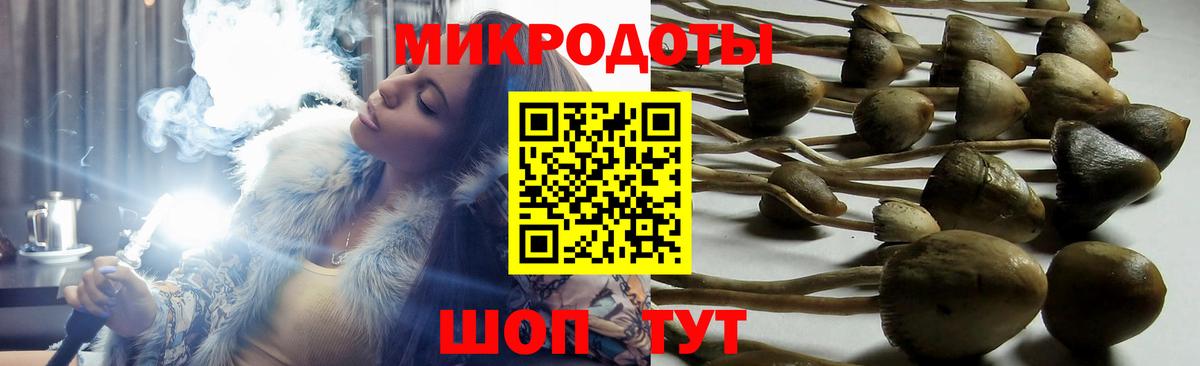 Галлюциногенные грибы Cubensis  магазин    Вход с VPN  Губаха  Псилоцибиновые грибы Psilocybine cubensis 